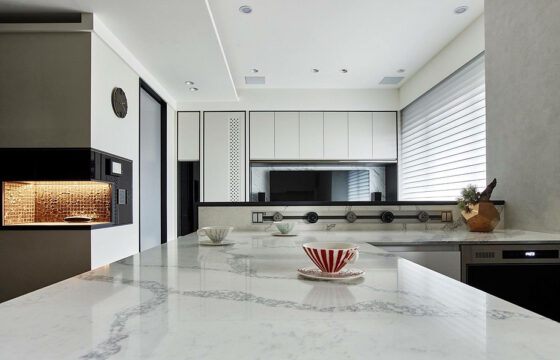 Everything You Must Know Before Choosing White Quartz Kitchen Countertop.